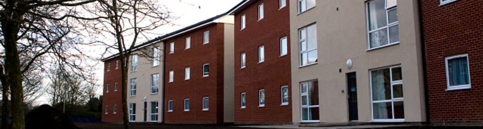 slide4.jpg